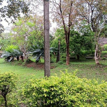 Aligama Cottage Talakolawela Exterior photo