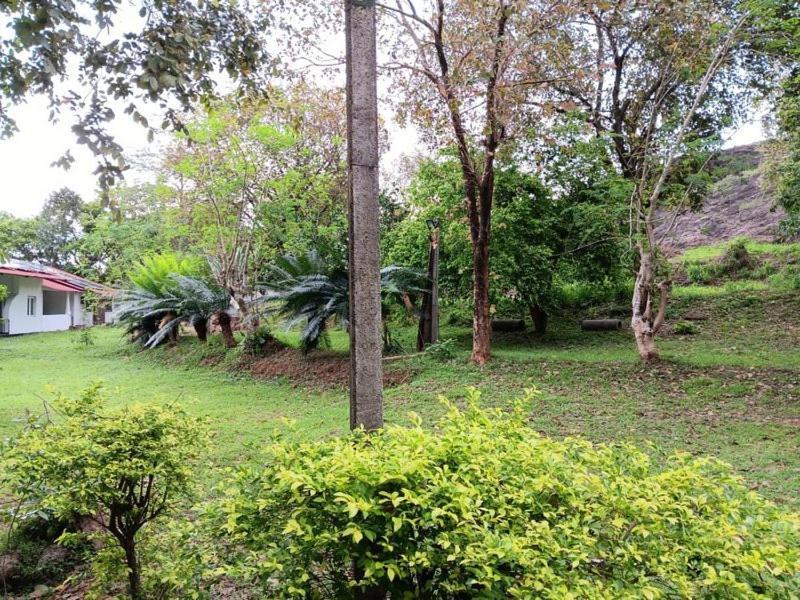 Aligama Cottage Talakolawela Exterior photo