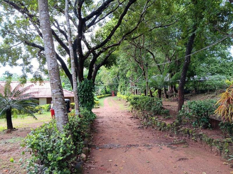Aligama Cottage Talakolawela Exterior photo